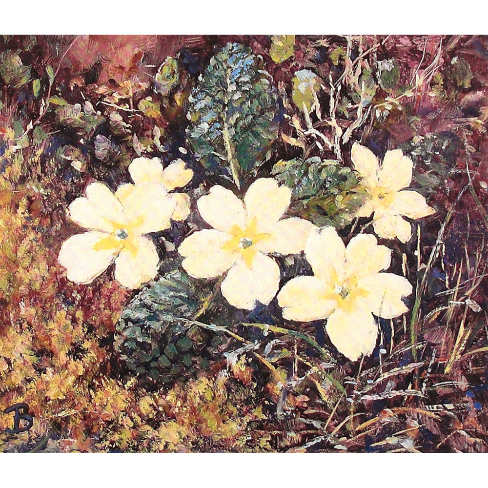 'Primroses' - Fine Art Print of Flowers