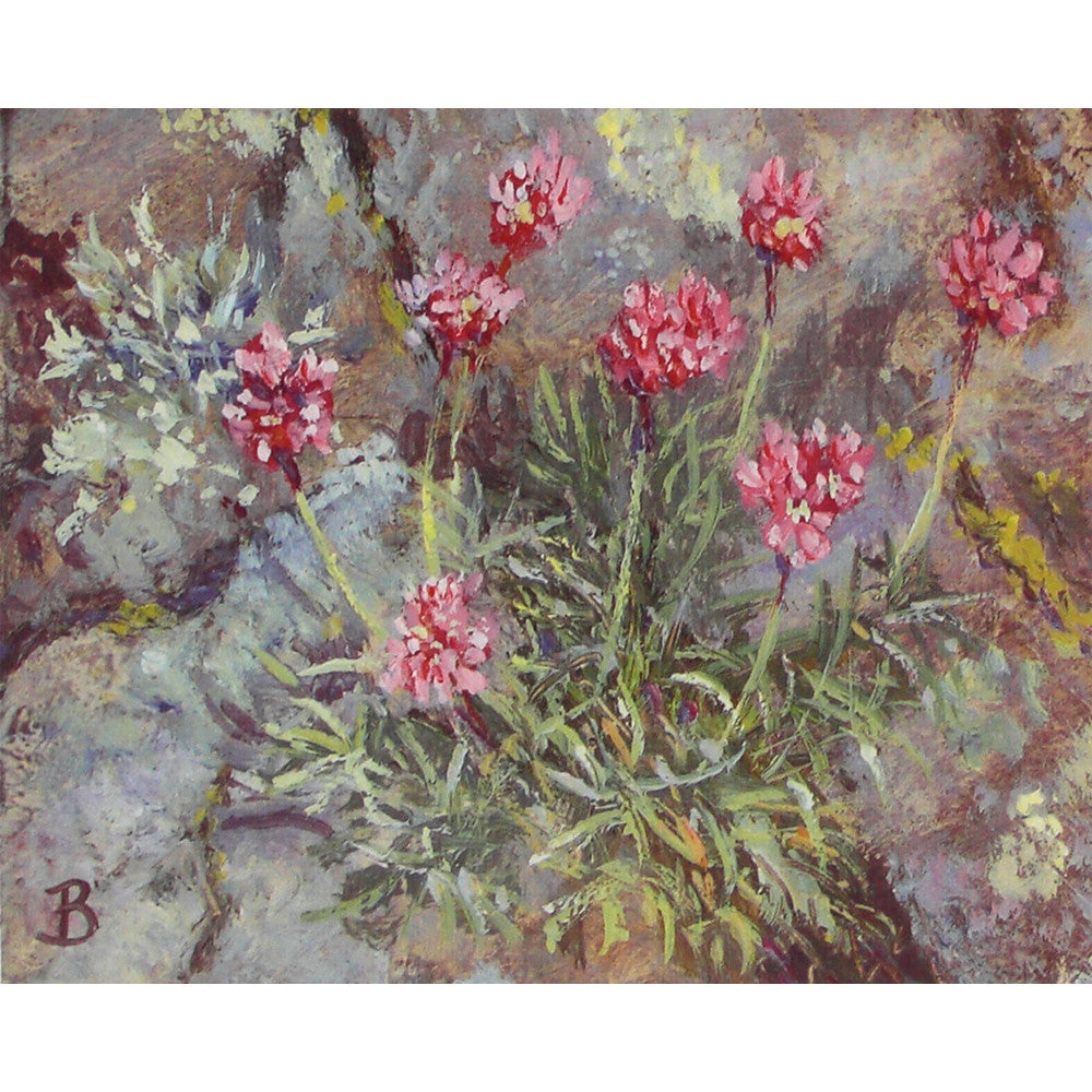 'Sea Pinks' - Fine Art Print of Flowers