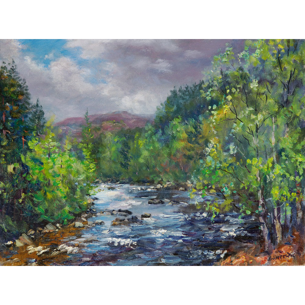 'Shades of Summer' - Fine Art Print of River Dee