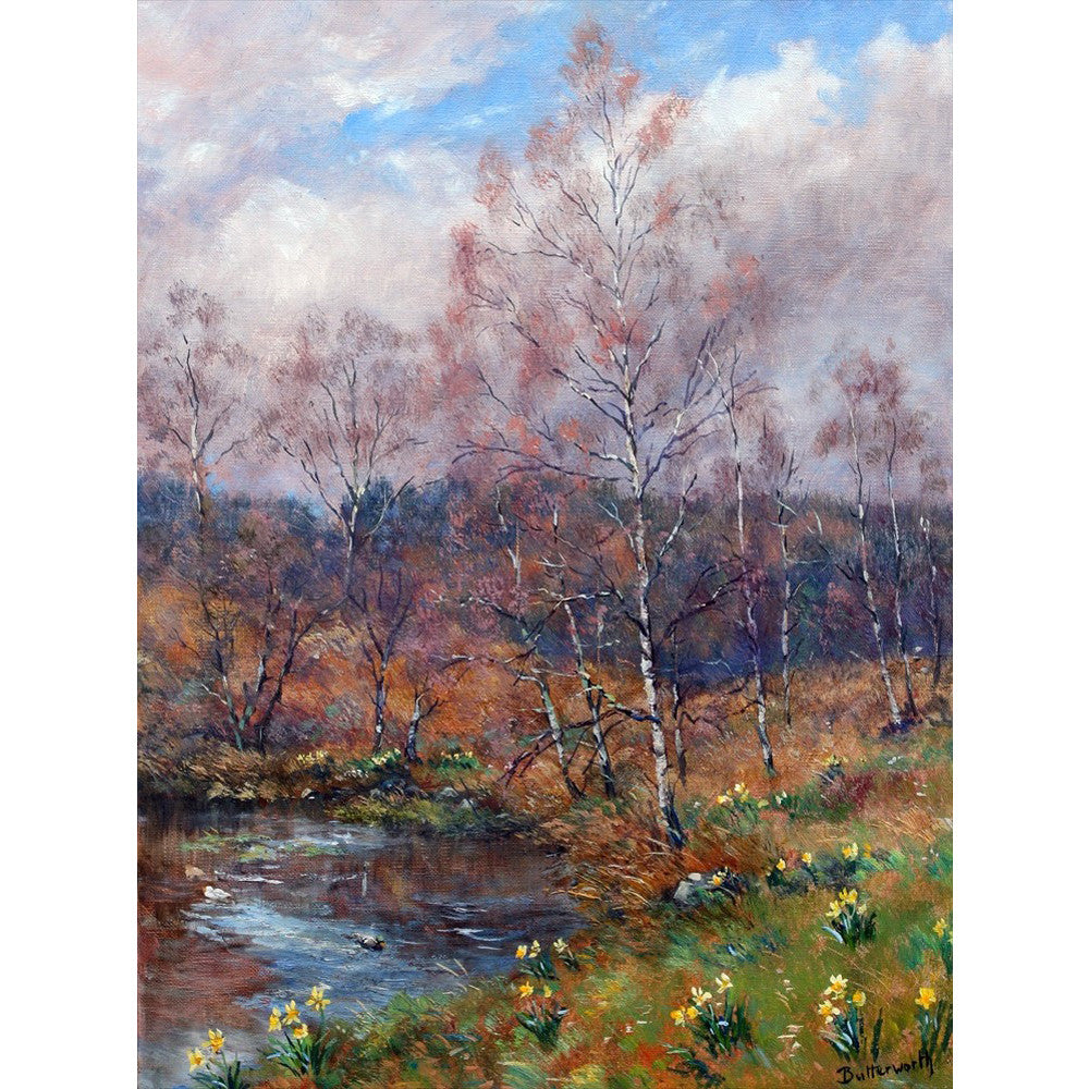 'Spring Sunshine in the Garden' - Fine Art Print of Aberdeenshire