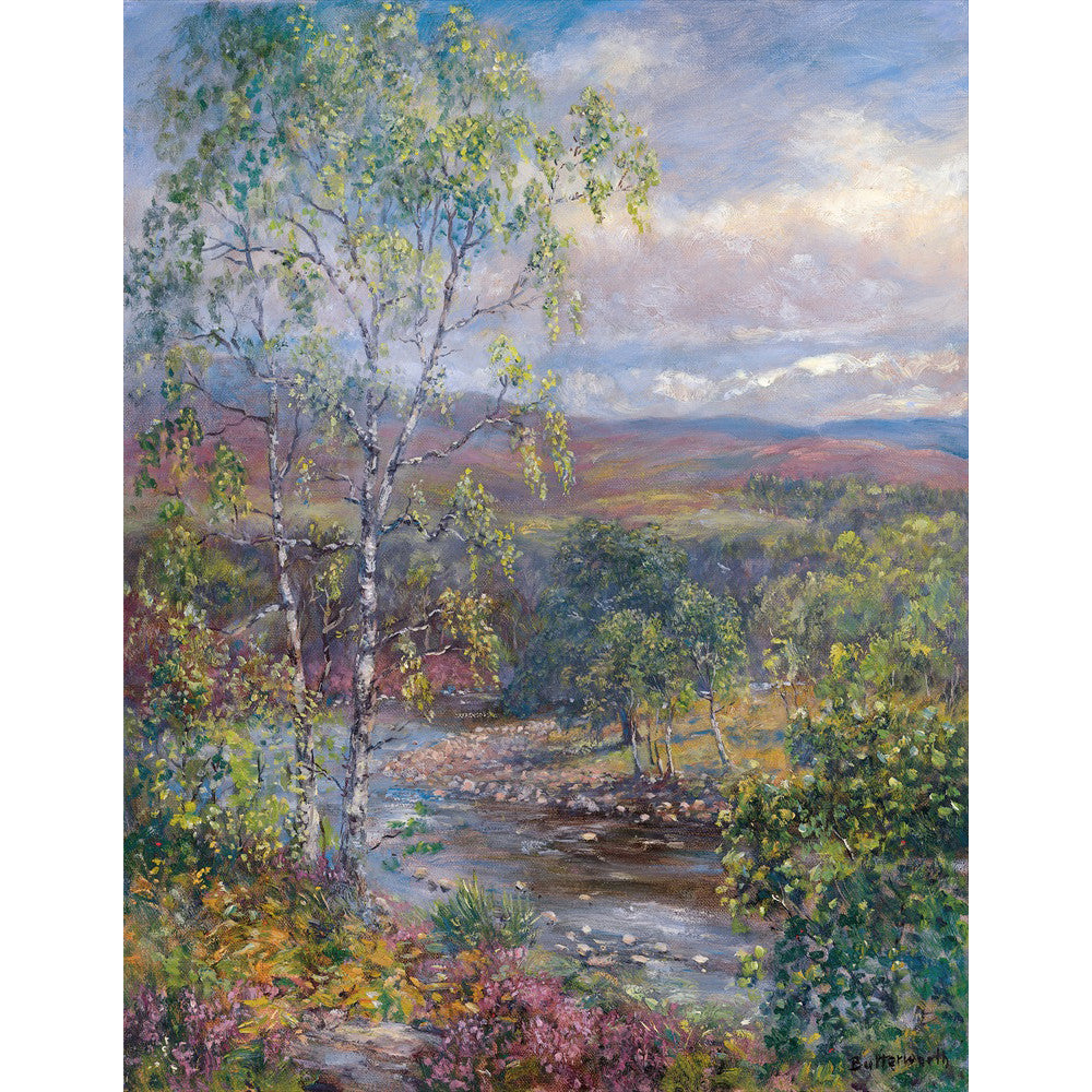 Print by Royal Deeside artist Howard Butterworth. Looking downstream from the famous Cambus O May white suspension bridge crossing the River Dee in the Cairngorm National Park. This beautiful scene captures Scotland at its finest with rivers mountains heather and birch trees.