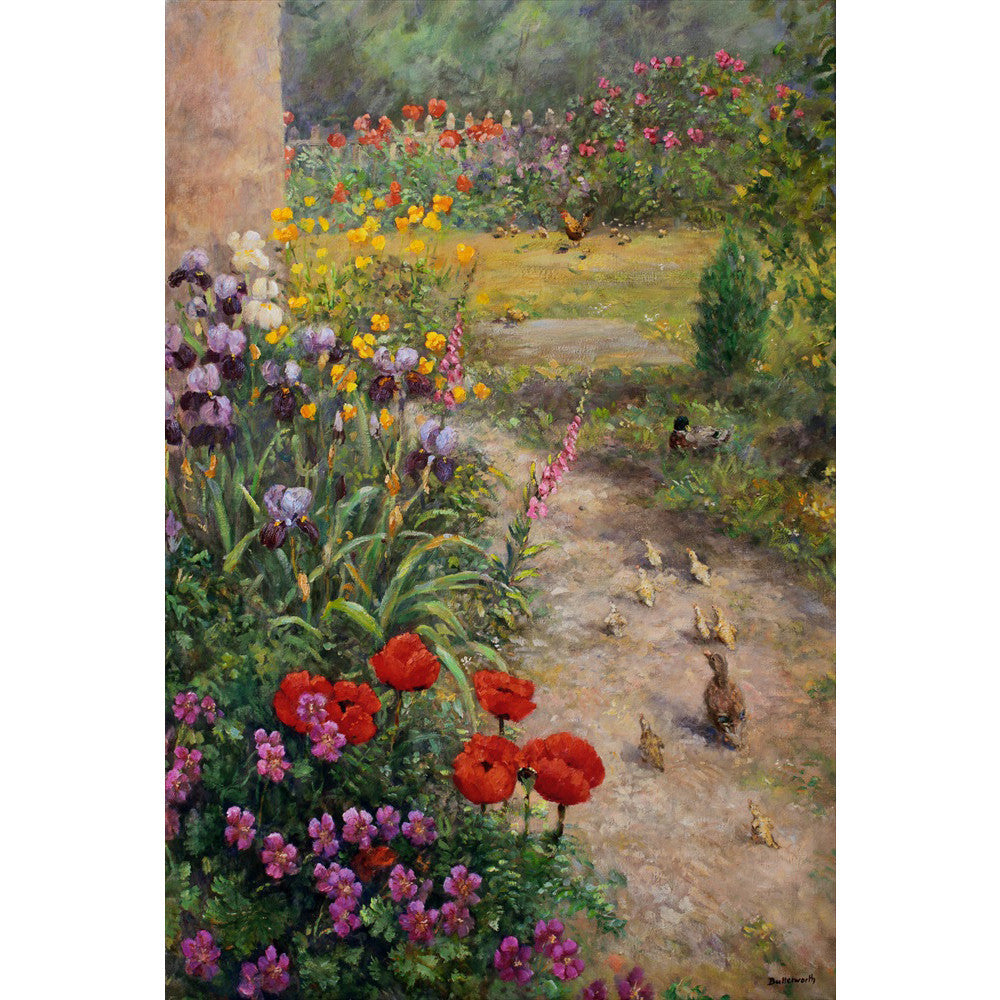 Royal Deeside artist Howard Butterworth's Garden in Glenmuick near Ballater, featuring poppies irises and a new hatchig of ducklings.