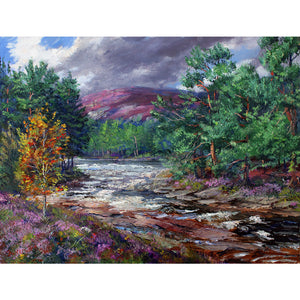 This upper Royal Deeside landscape of the River Dee coming down from its source in the Cairngorms National Park is a signed limited edition giclee print by Howard. Moody skies over the Forest of Mar's Caledonian pines and heather clad mountains of nearby Cairn Toul near Muir Cottage above Braemar available as a signed limited edition giclee print by Howard Butterworth