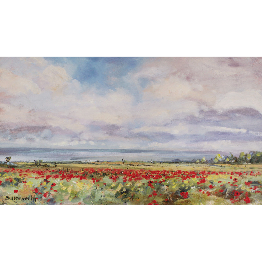'Wild poppies by the sea' - Fine Art Print of Fife
