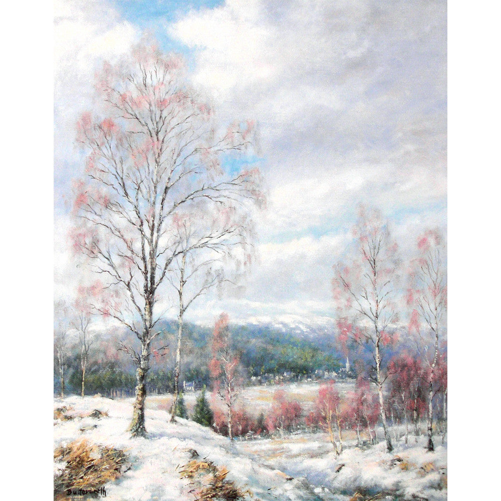 'Winter Birches' - Fine Art Print of Deeside