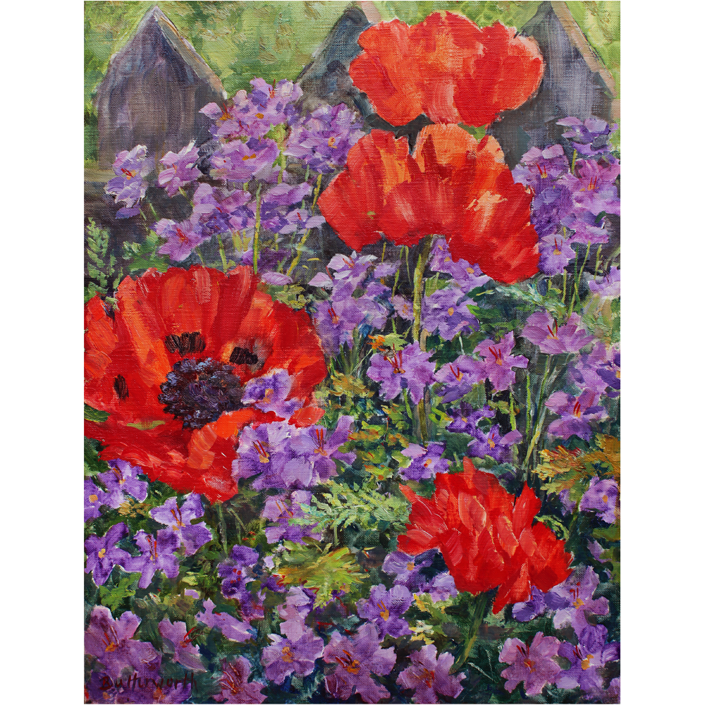 The Artist's Garden in Glenmuick featuring poppies and geraniums painted by Howard Butterworth near Ballater on Royal Deeside