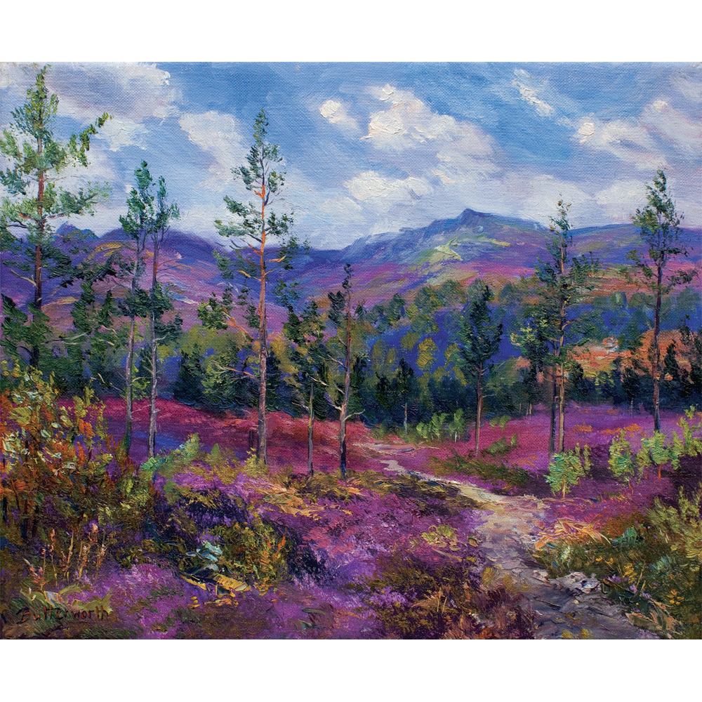 'Purple Haze' - Fine Art Print of The Cairngorms