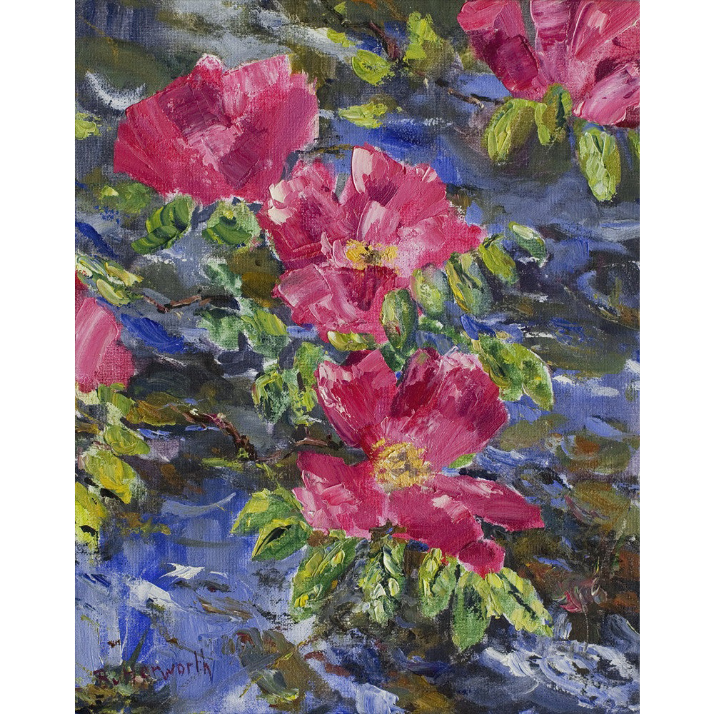 Roses by the pond in Glenmuick. The artist's garden in Glenmuick on Royal Deeside