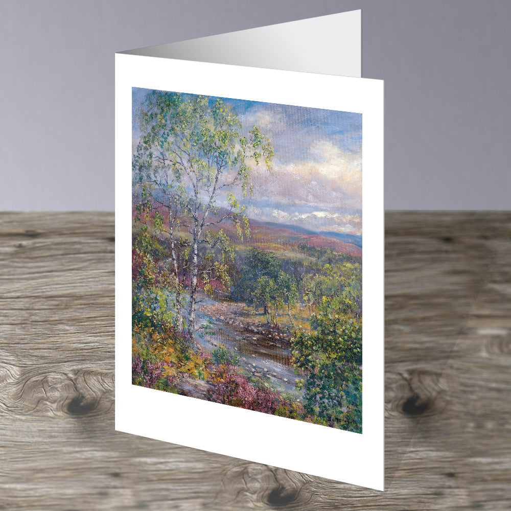 Summer Colour at Cambus O' May