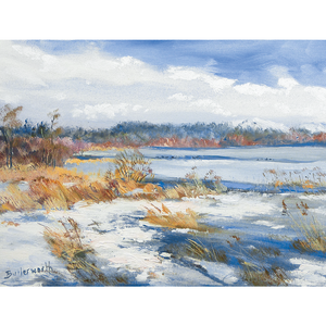 A wintry scene by Scottish artist Howard Butterworth from the Cairngorm National Park. A Fine art giclee which captures the beauty of  Loch Davan and the muir of Dinnet.